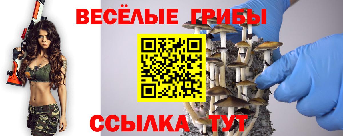Псилоцибиновые грибы Cubensis  Вход с VPN  Бийск  Псилоцибиновые грибы Psilocybine cubensis 