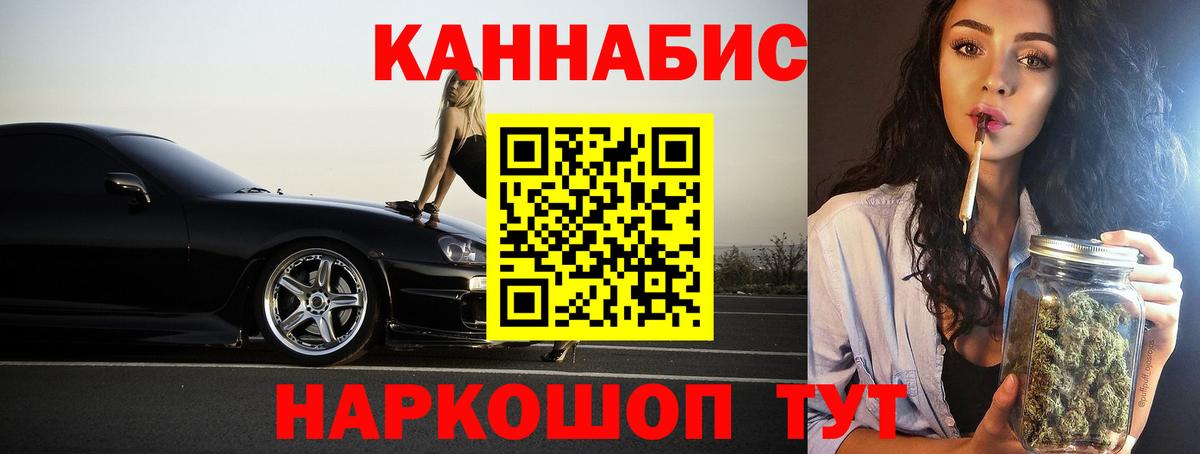 Бошки Шишки планчик Бийск